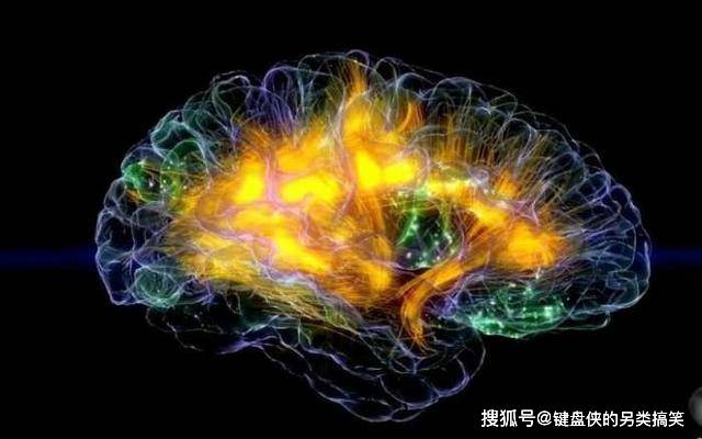 最强大脑里面的水哥是哪一期_最强大脑第一季水哥_最强大脑水哥个人资料