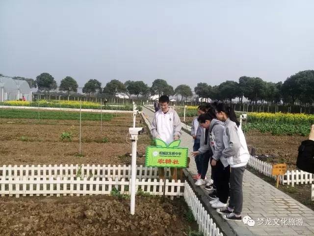 微博农场游戏挣钱_挣钱农场微博游戏是真的吗_挣钱农场微博游戏怎么玩