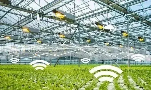微博农场游戏挣钱_挣钱农场微博游戏是真的吗_挣钱农场微博游戏怎么玩