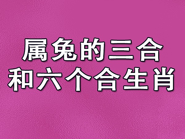 属兔的财运方位_属兔的方位财运_属兔财位方向