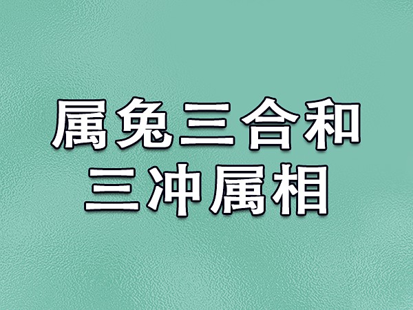 属兔的财运方位_属兔财位方向_属兔的方位财运