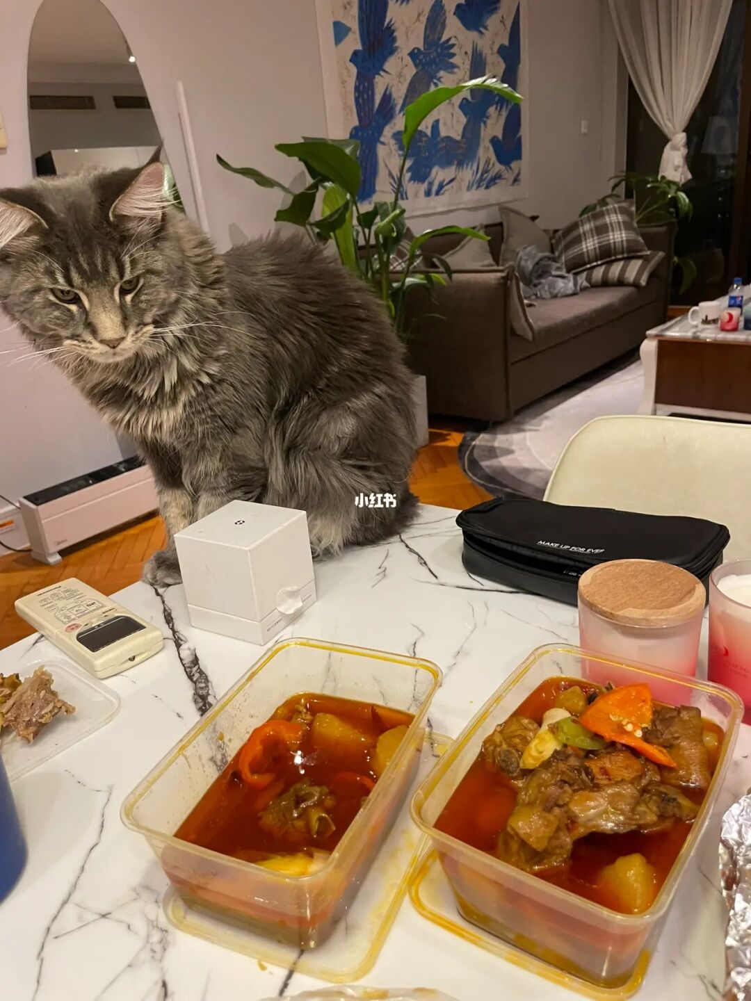柴德里斯_约什柴尔德里斯_柴德里斯投篮
