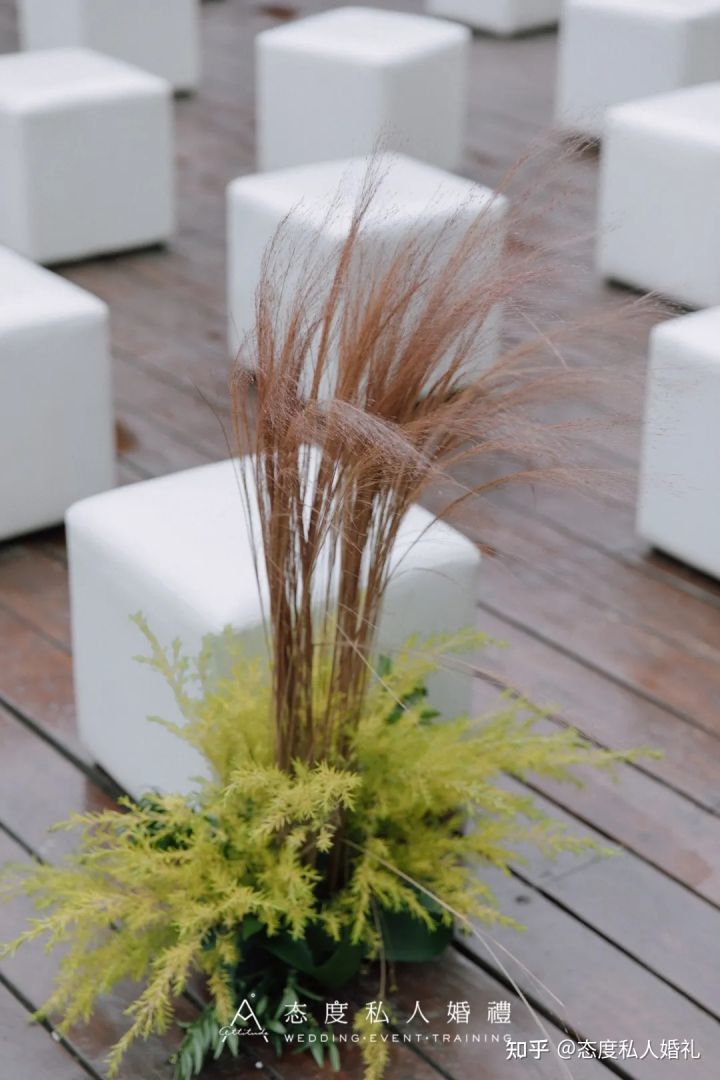 方块草花哪个大_草方块_方块草坪