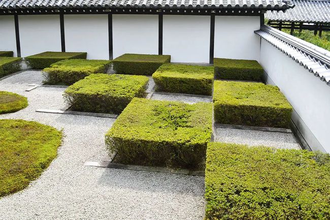 草方块_方块草坪_方块草花哪个大