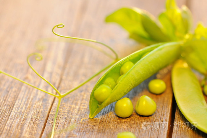 豌豆荚_豌豆荚官网_豌豆荚app官方网