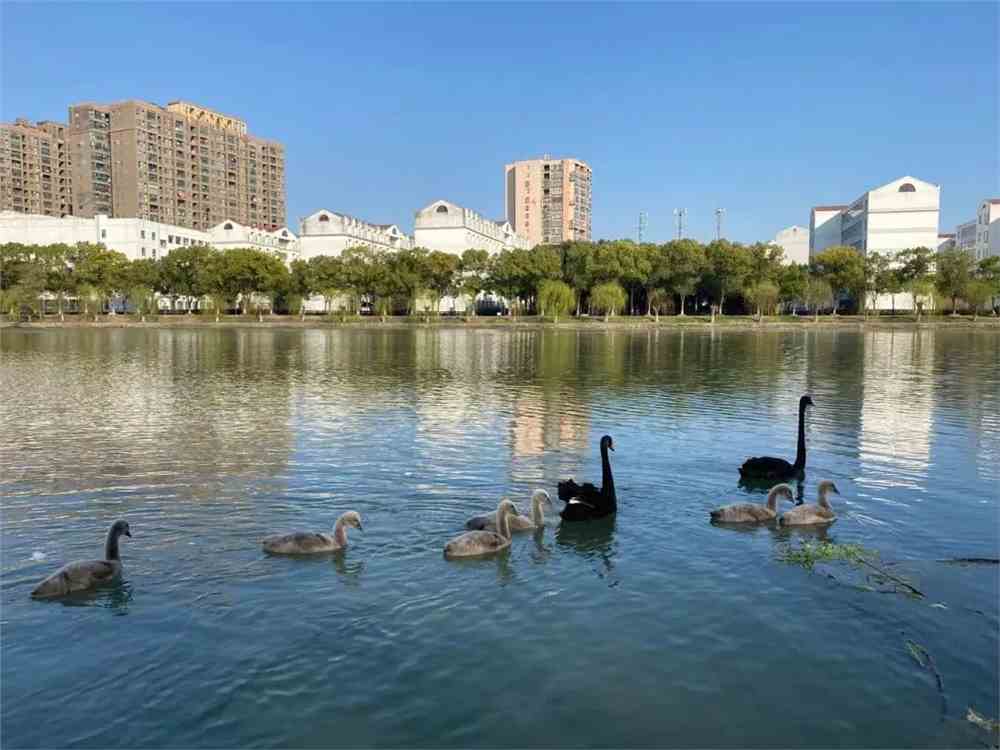 湖工大_湖工职_湖工