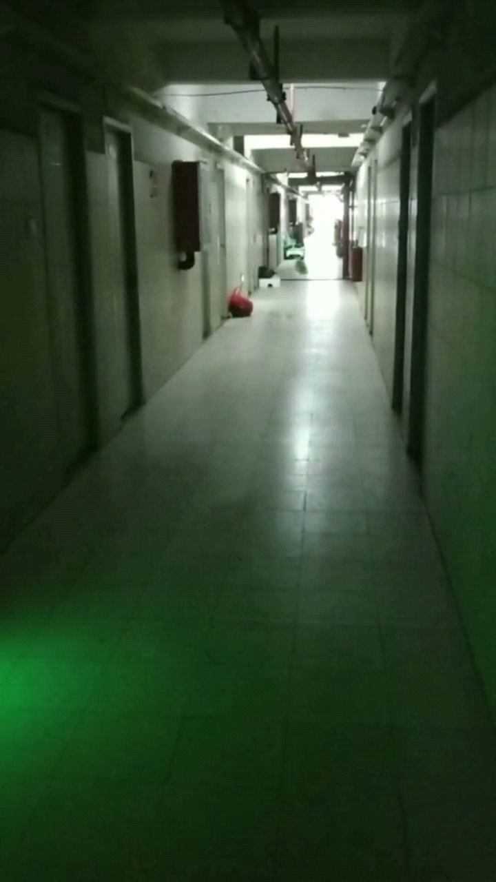 猛鬼宿舍开挂版下载_开淘宝店要下载旺旺卖家版吗_宿舍鬼图