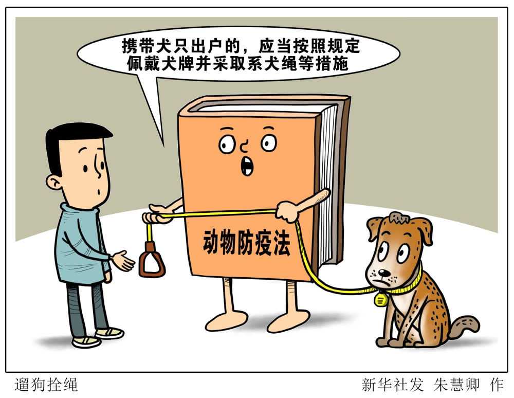 拴意思是什么_拴读音是什么意思_拴q是啥意思