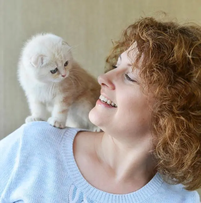 养成猫手机游戏_手机养成游戏 猫_养成猫手机游戏怎么玩