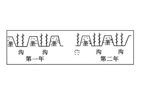 好玩的联机种田游戏_种田游戏手机联机_可以联机的种田手游