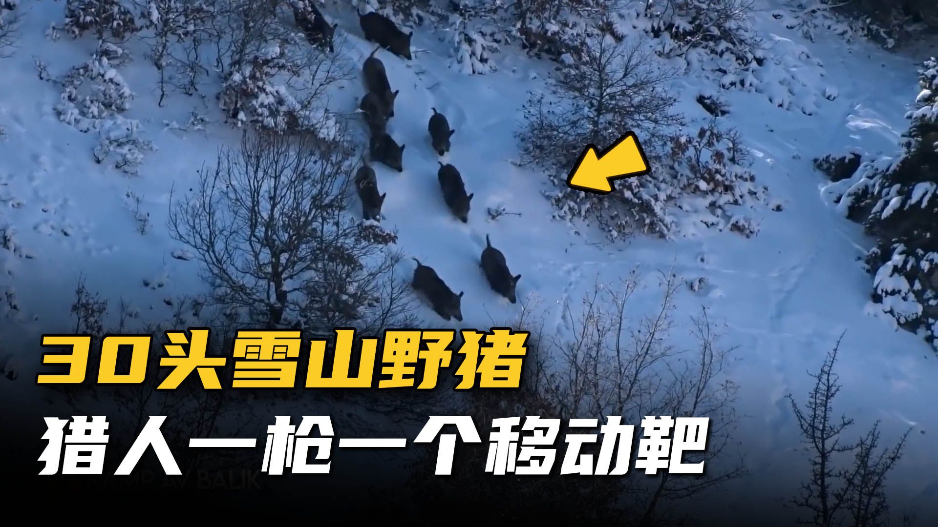 雪地狩猎野鸡_雪地狩猎电影_手机雪地狩猎游戏下载