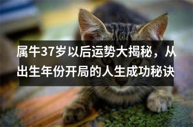 1975_1975今年多大年龄_1975到2023多少岁