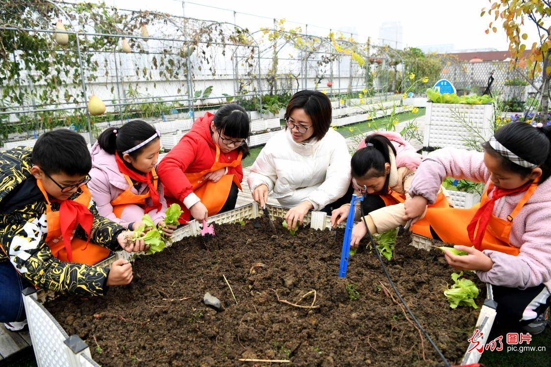种田手机游戏单机_种田手机游戏推荐_种田向手机游戏