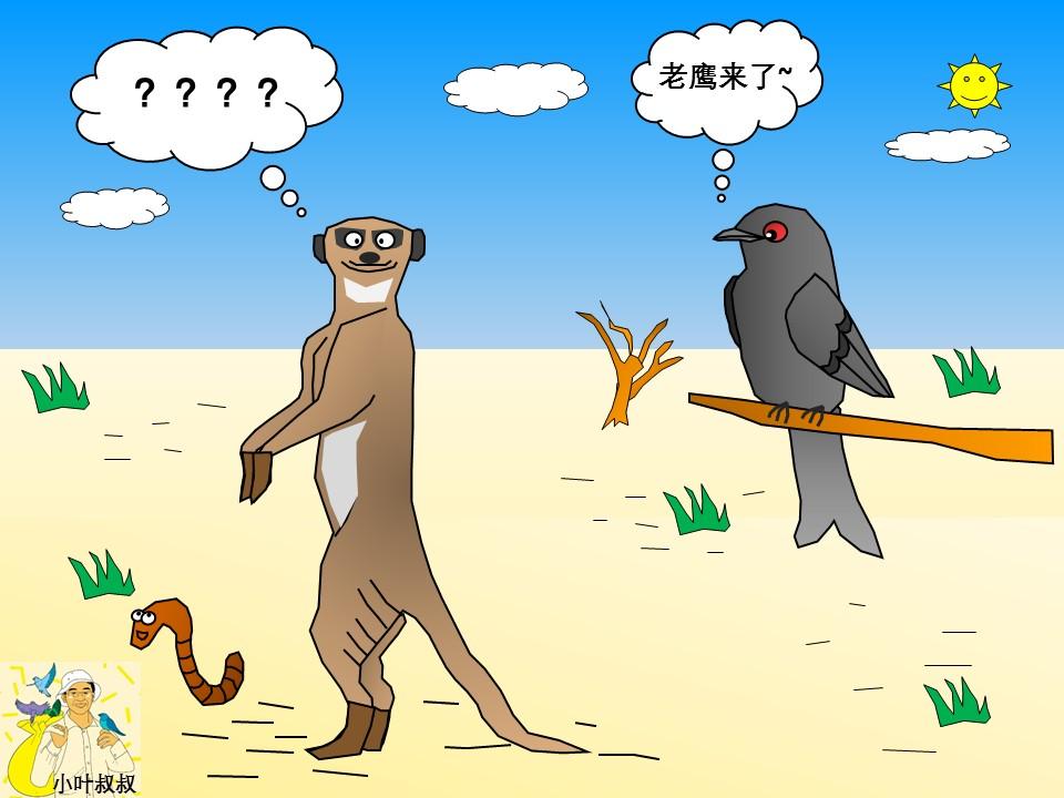 叉牙鲷怎么读_叉牙鲷_叉牙鲷能吃吗
