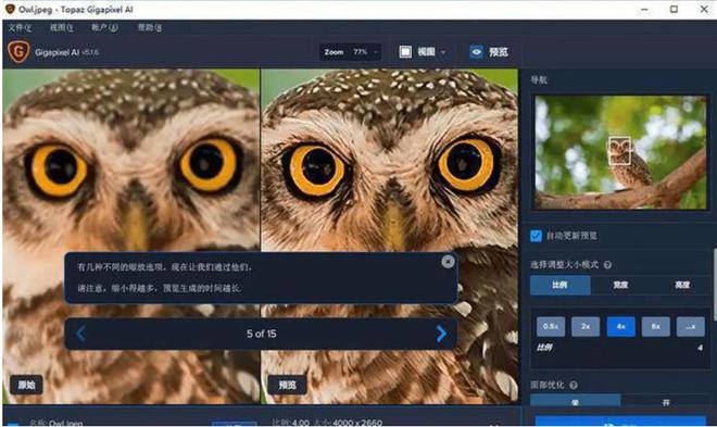 wps批量修改图片尺寸-WPS 批量修改图片尺寸，提升工作效率的神器