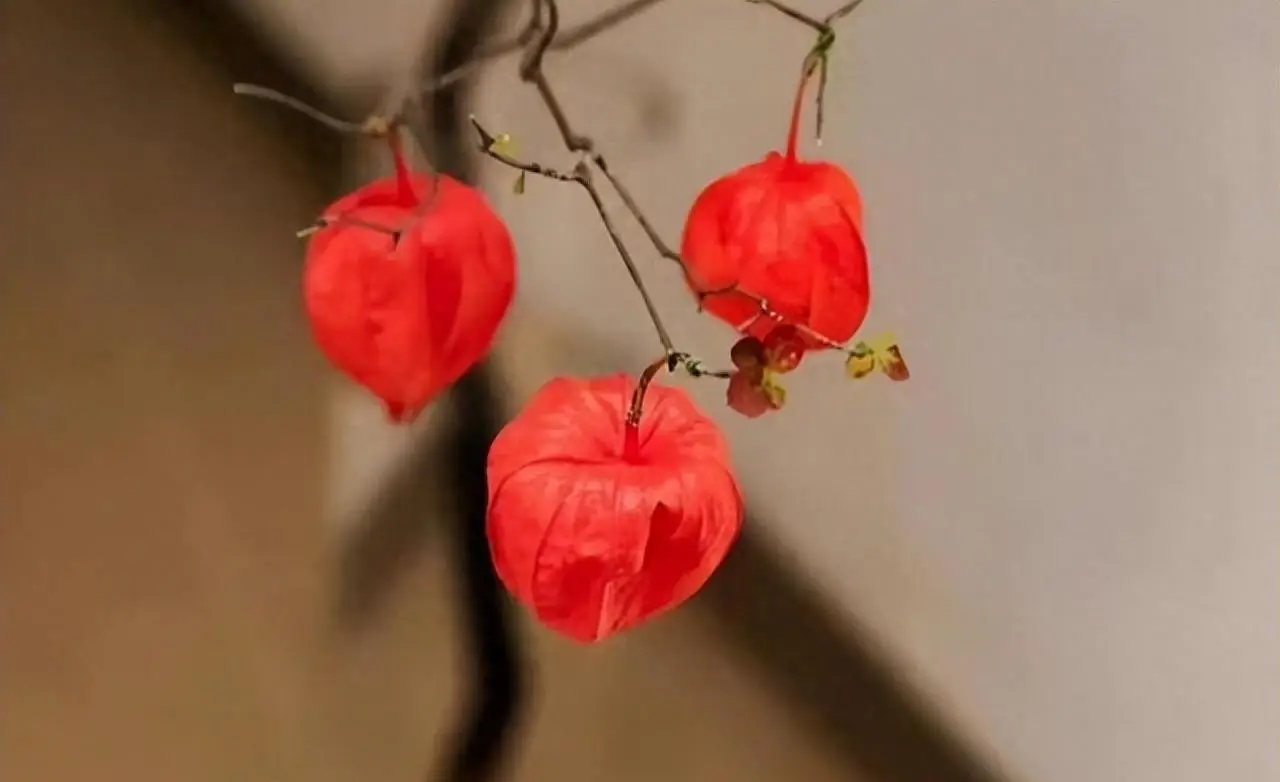 手机游戏 孤岛-孤独的探险者：在像素世界中挑战生存与心理的极限