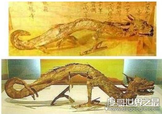 千机伞碎了怎么修复的_千机伞_千机伞十三形态图