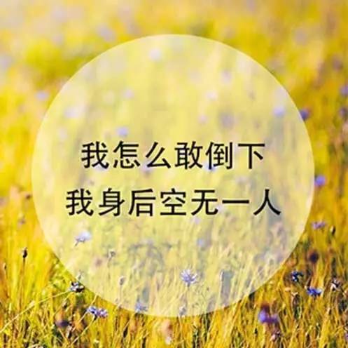 认真你就输了-生活不应只有工作和责任，放下包袱享受当下才是真正赢家