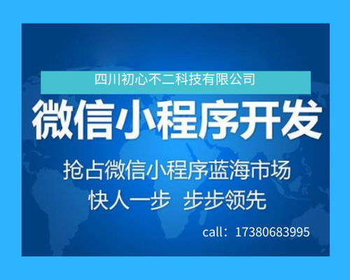 DIY小程序开发平台 