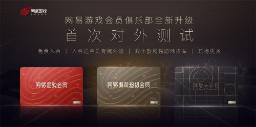 网易游戏专属流量,引领行业潮流的数字盛宴