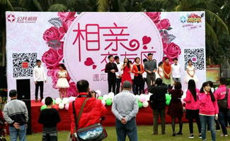 趣味猫主题游乐园手游中文版下载 