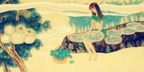 小小养蚕师免广告版 
