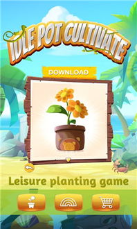 种植盆栽游戏,打造你的盆栽种植乐园