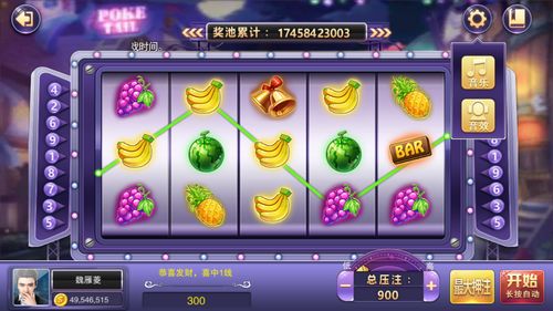 小果抢购助手 