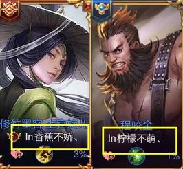 情侣游戏名霸气,情侣间的游戏狂欢之旅