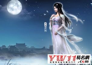 游戏角色名女,探寻精灵公主的奇幻之旅