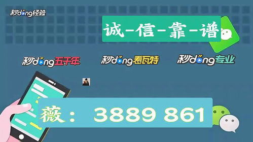 游戏群规则大全,打造和谐游戏环境的必备攻略